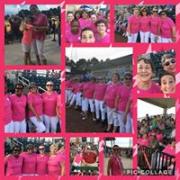 Blowfish Baseball Game