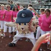 Blowfish Baseball Game